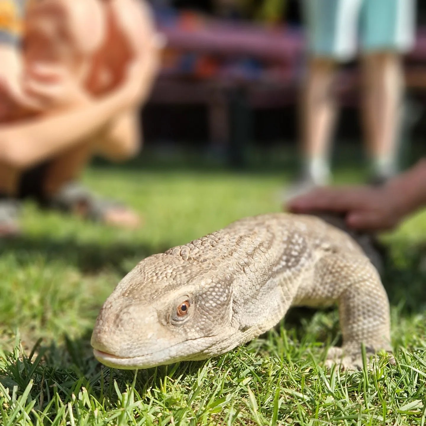 zoo